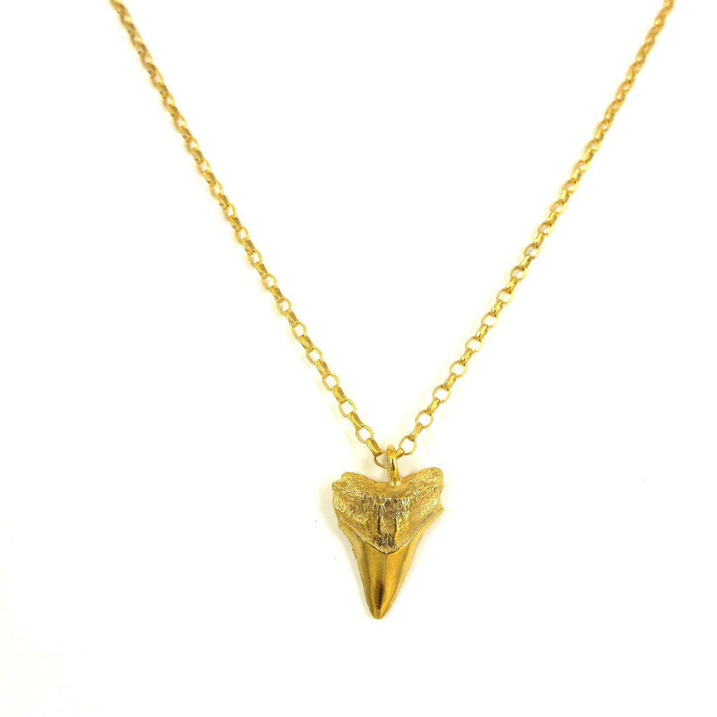 Sharks tooth necklace