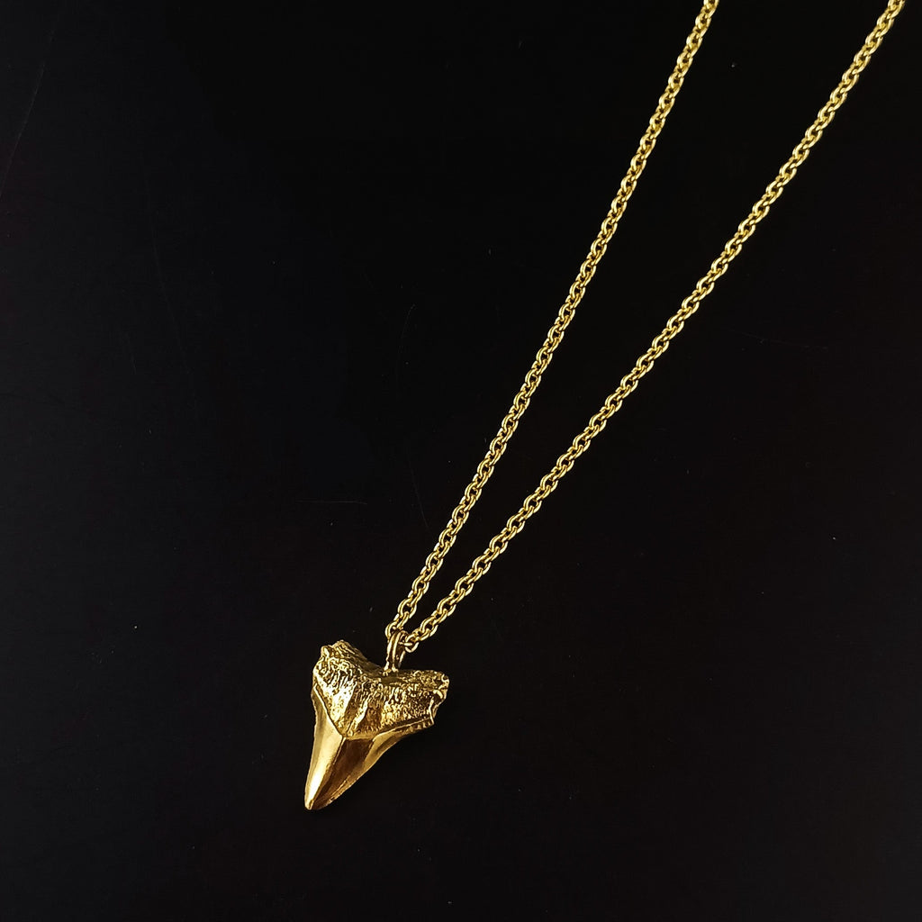 Sharks tooth necklace
