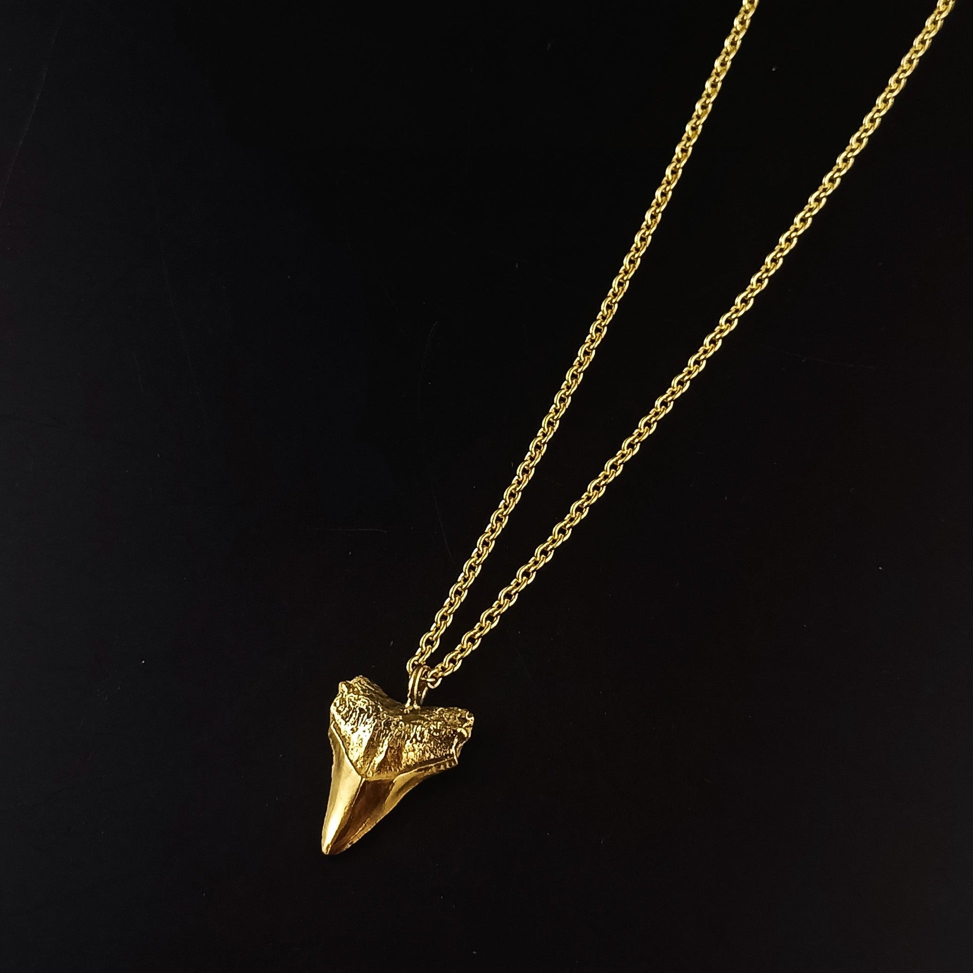 Sharks tooth necklace