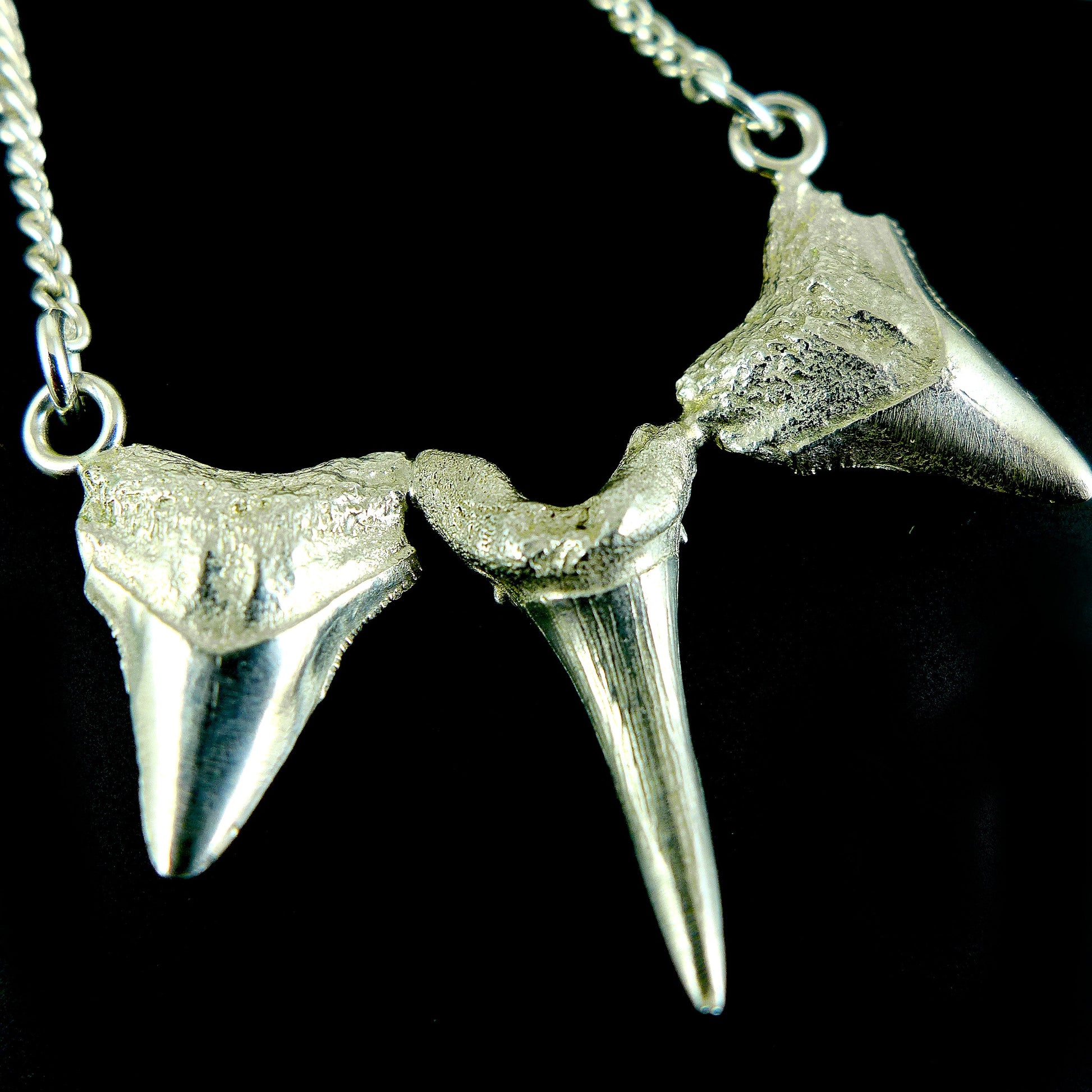 Silver Shark tooth necklace