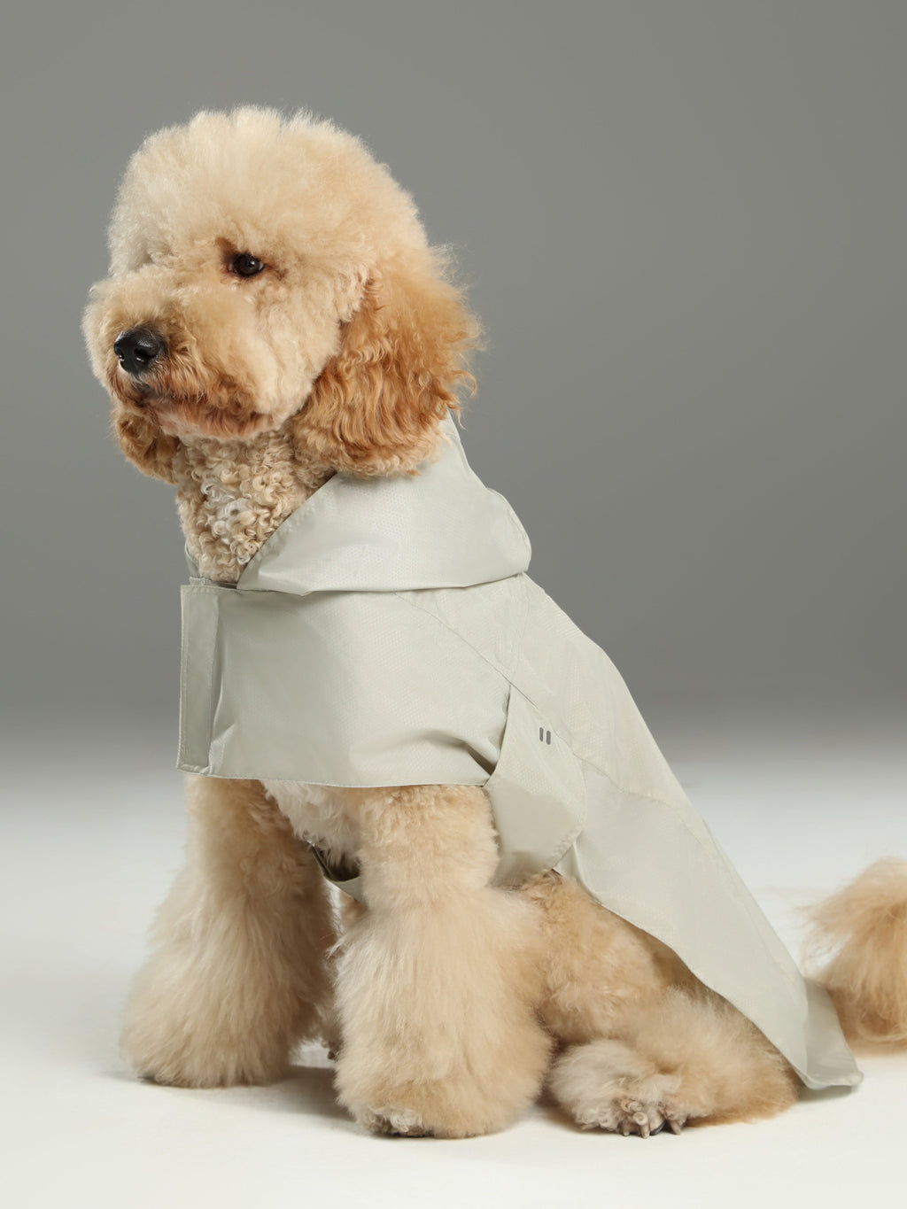 Capsule Raincoat in Beige