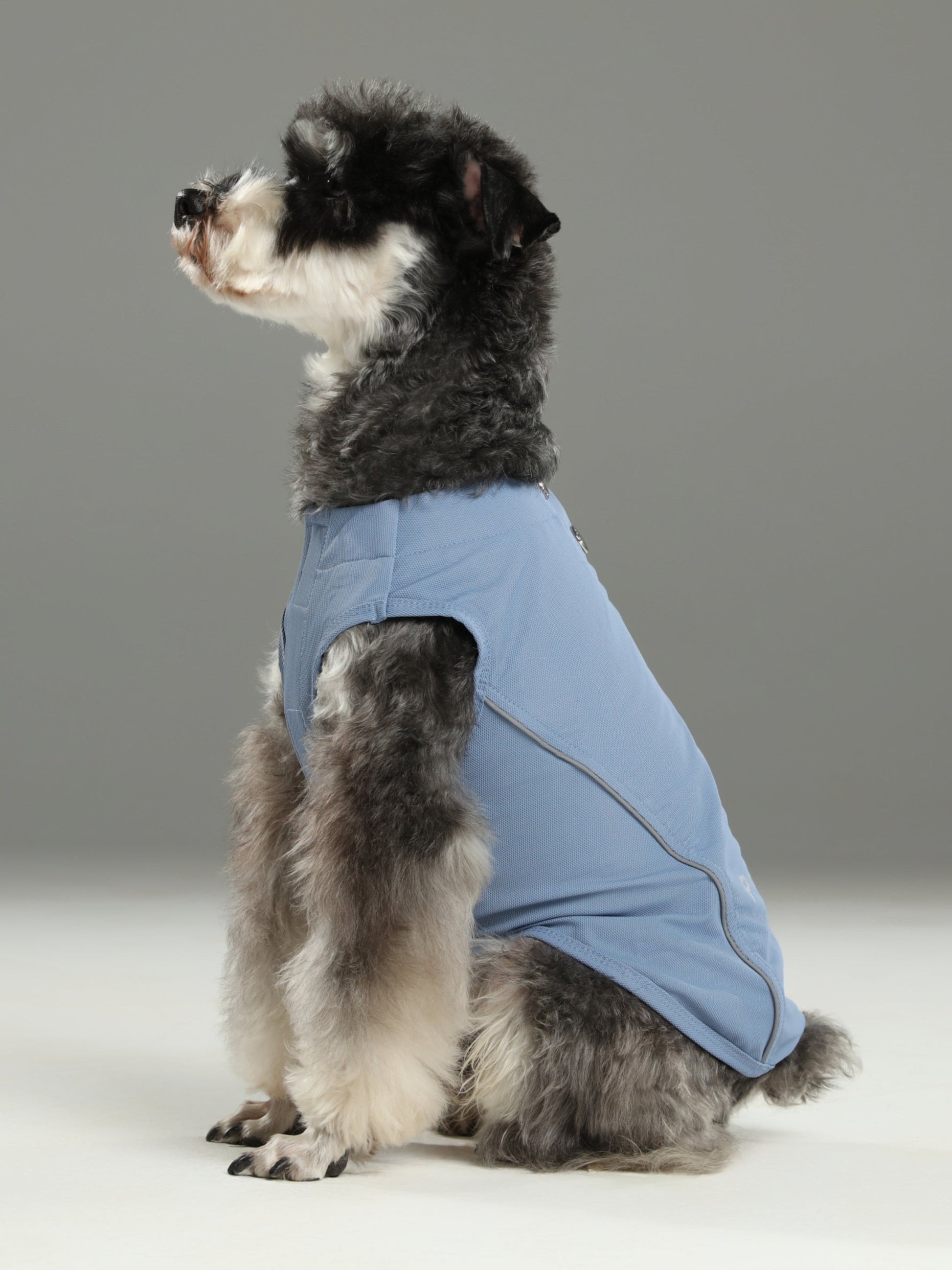 Chill Vest Shirt in Blue for Dogs and Cats