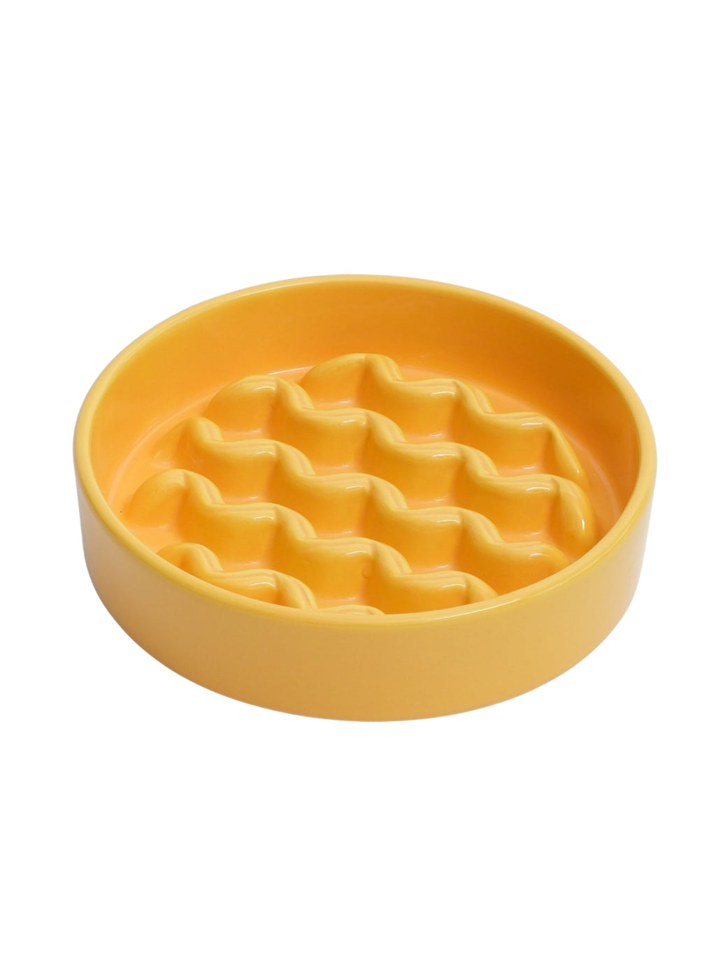 Macaroni Slow Feeder Dog Bowl with Non Slip Base