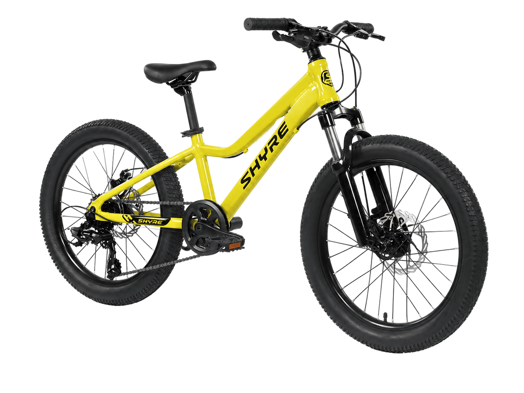 Eastie 20 Inch Wheel Kids Mountain Bike