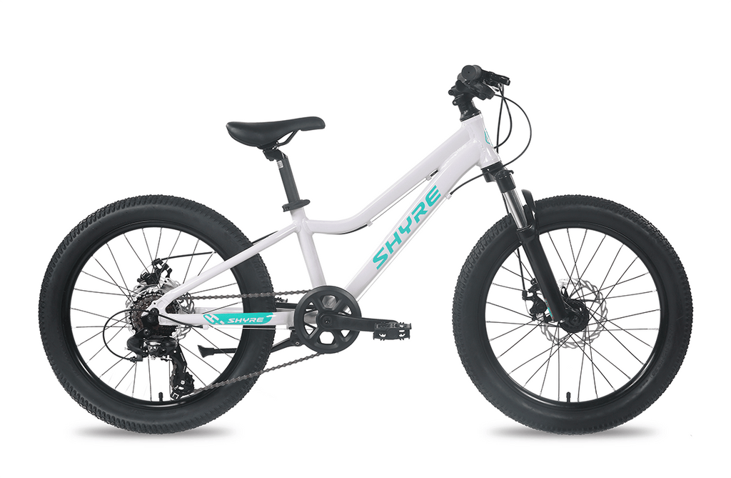 Eastie 20 Inch Wheel Kids Mountain Bike