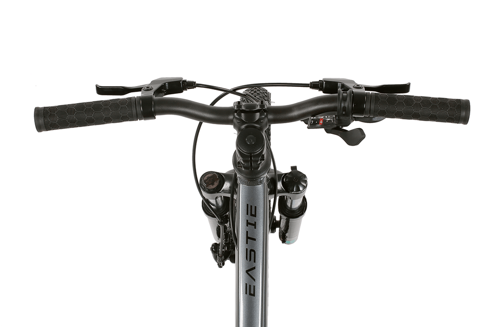 Eastie 20 Inch Wheel Kids Mountain Bike