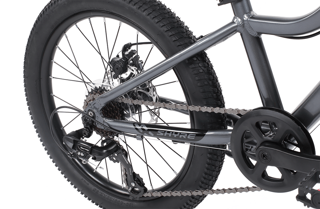 Eastie 20 Inch Wheel Kids Mountain Bike