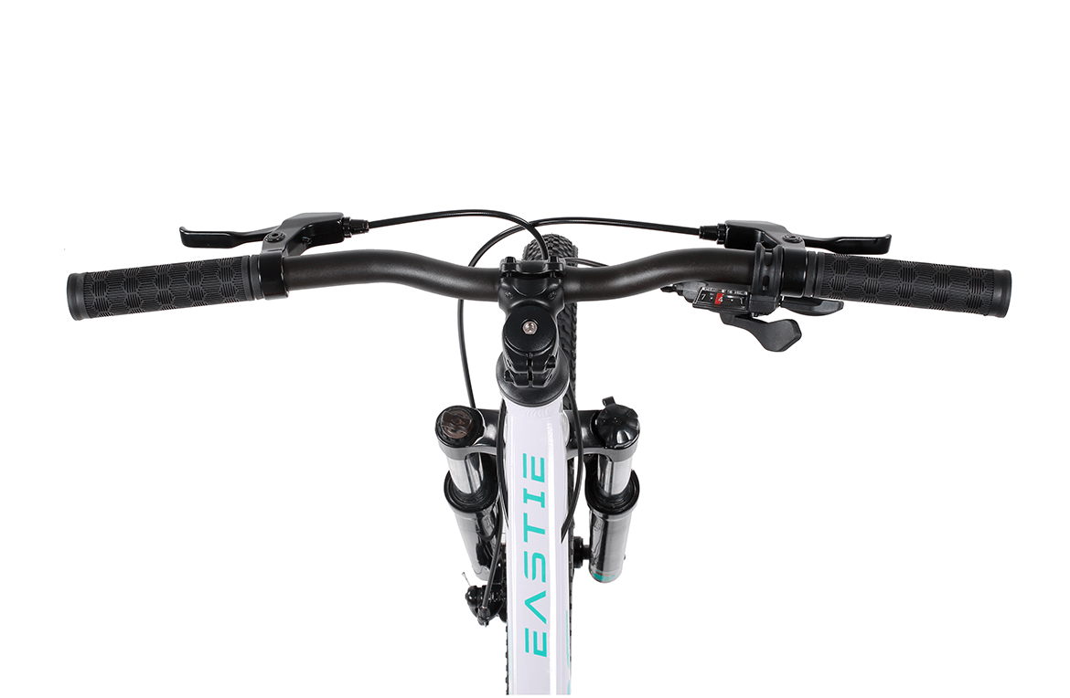 26 Inch Wheel Kids Mountain Bike for Ages 10 Plus