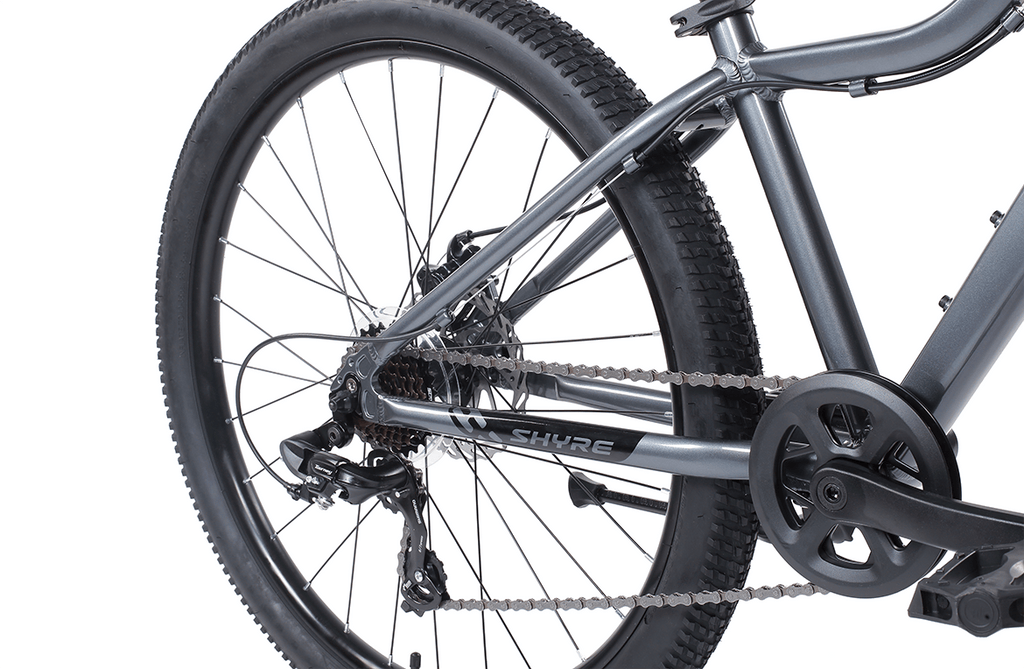 26 Inch Wheel Kids Mountain Bike for Ages 10 Plus