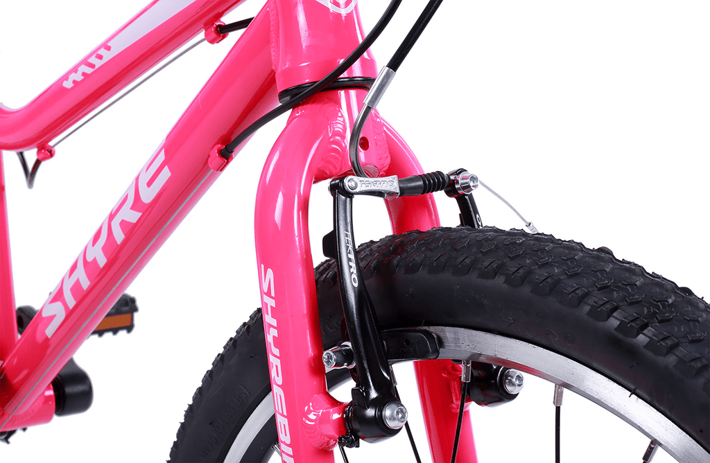 20 Inch Lightweight Hybrid Kids Bike with Gears