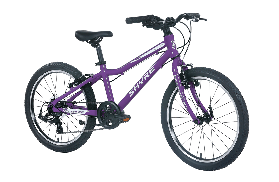20 Inch Lightweight Hybrid Kids Bike with Gears
