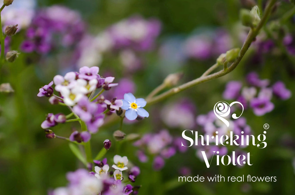 Silver Huggie Earring Purple Heart with Real Flowers