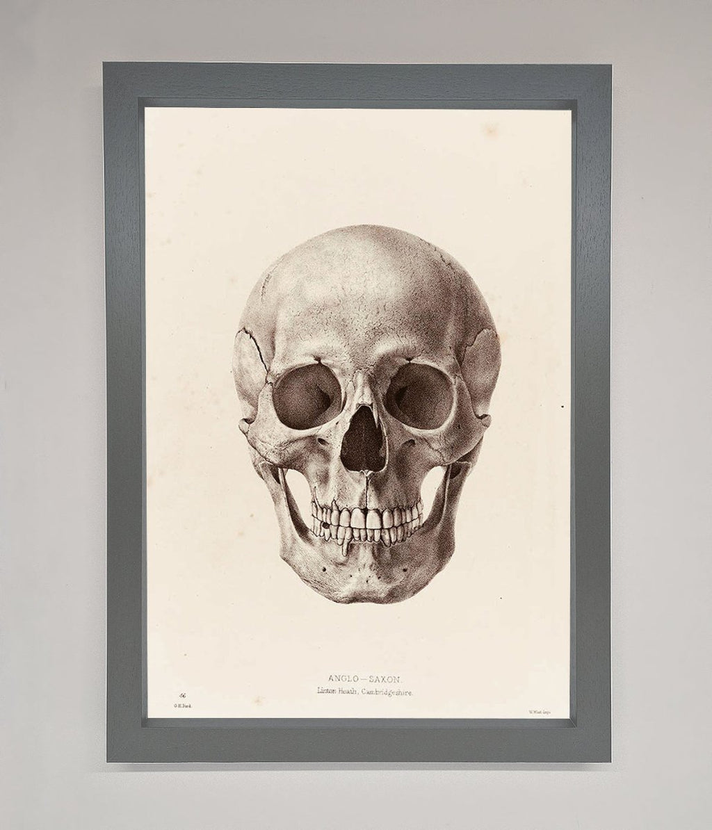 Skull Science Framed Poster