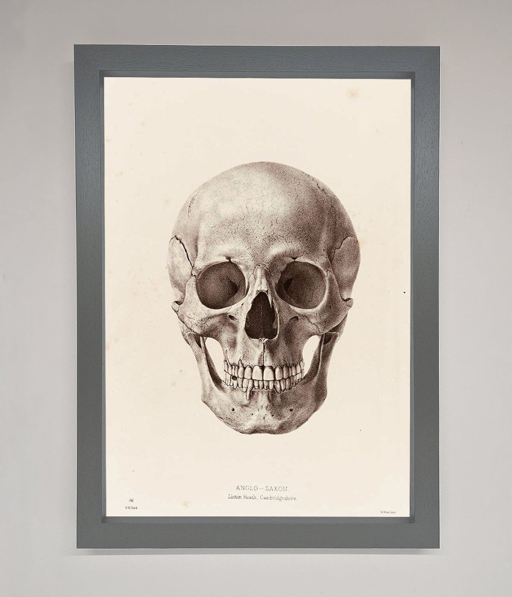 Skull Science Framed Poster