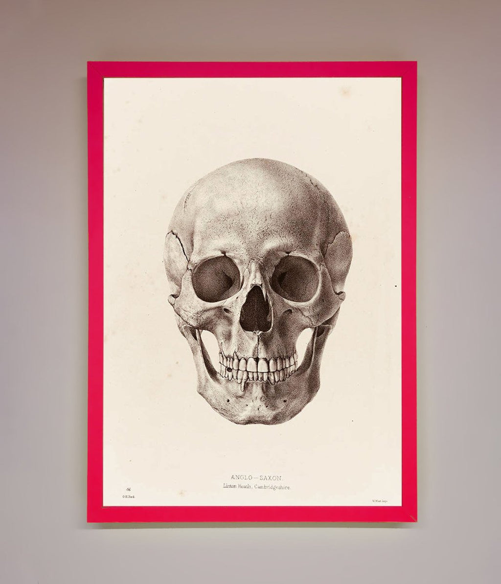 Skull Science Framed Poster