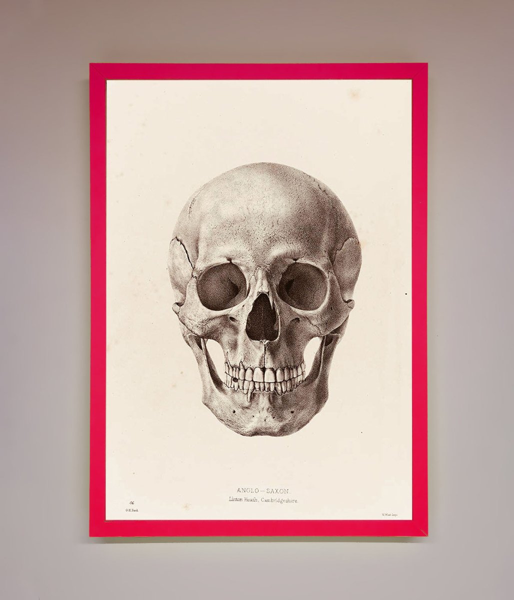 Skull Science Framed Poster