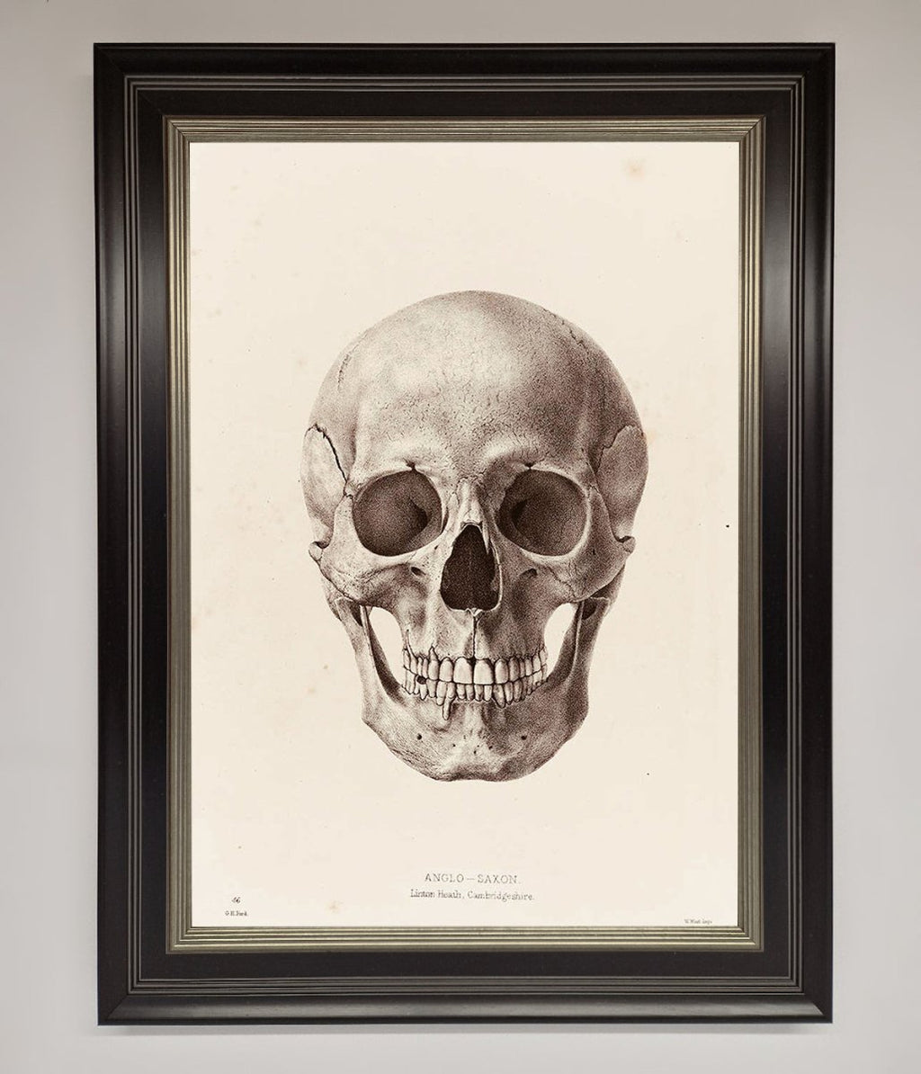 Skull Science Framed Poster