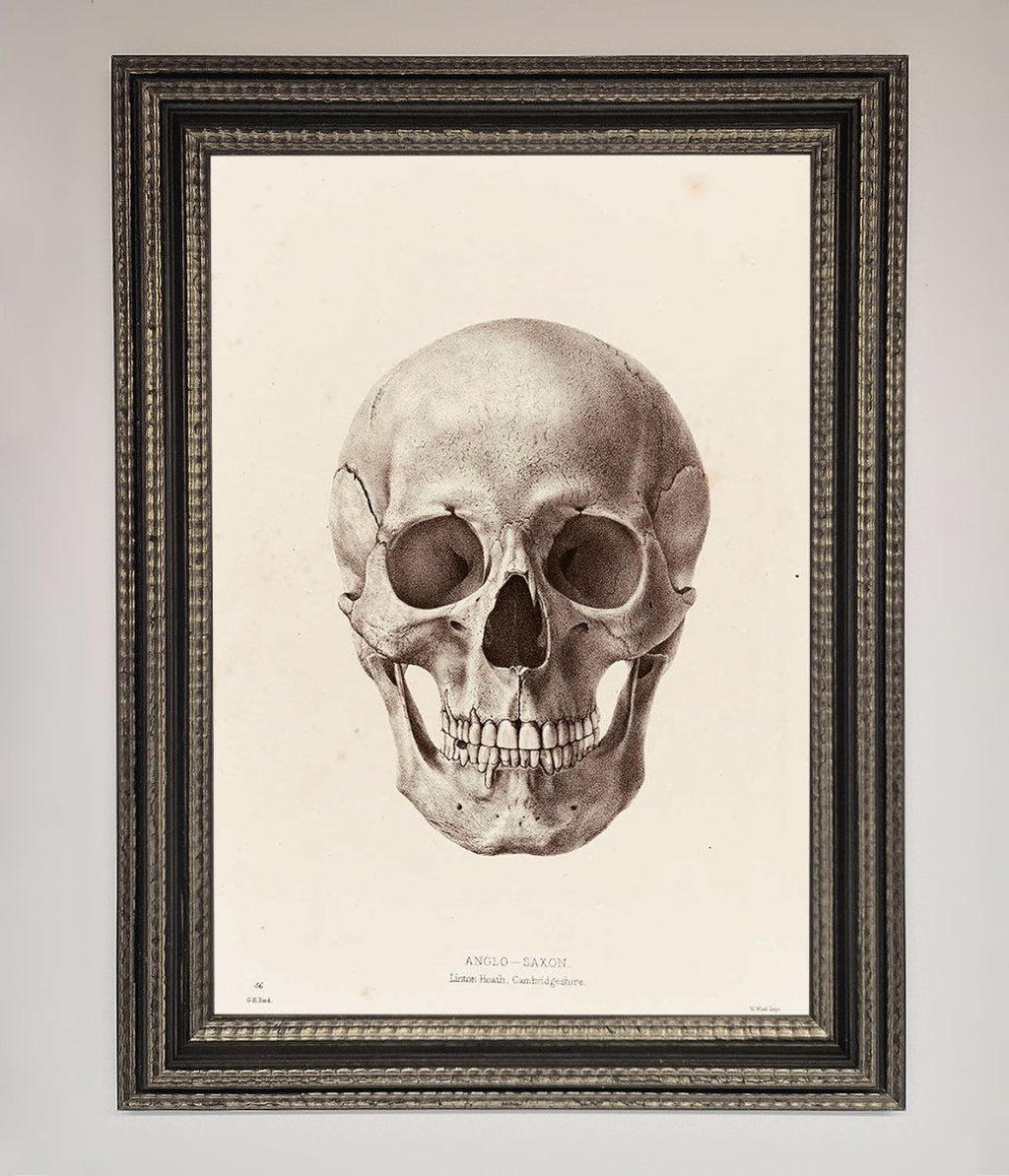 Skull Science Framed Poster