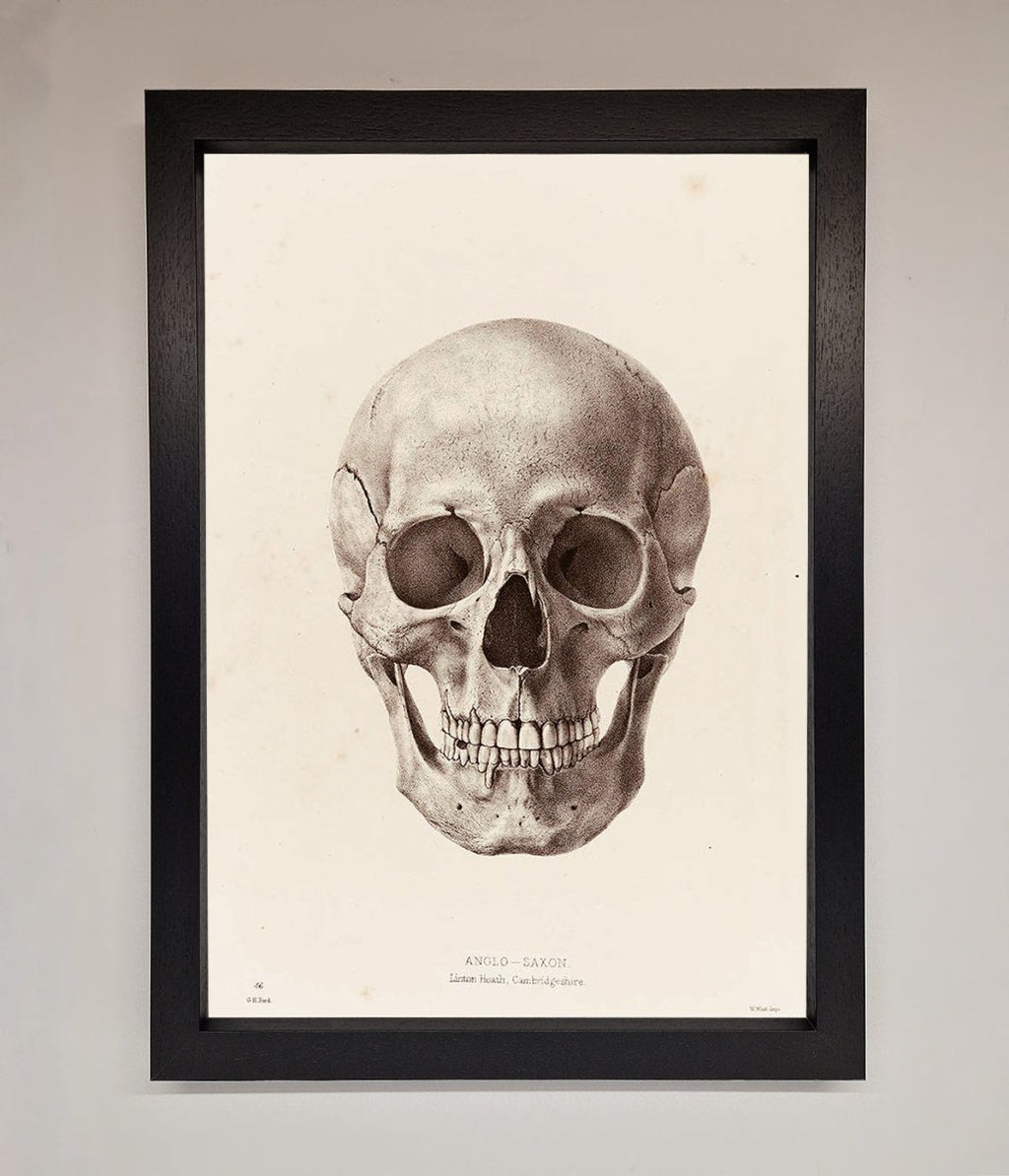 Skull Science Framed Poster