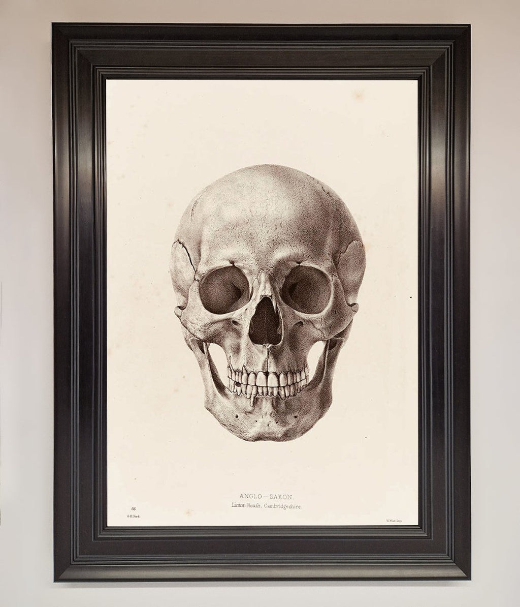 Skull Science Framed Poster