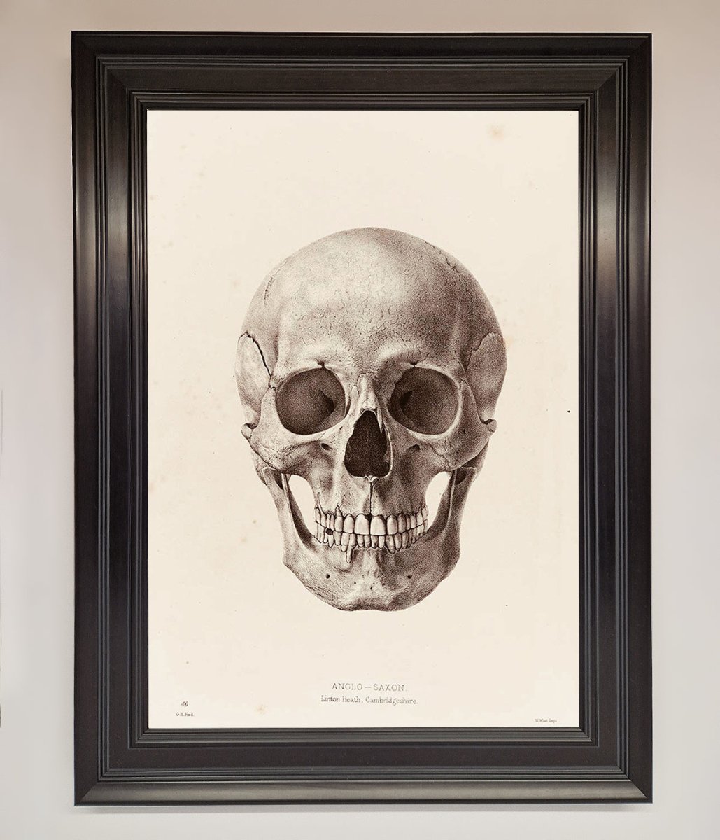 Skull Science Framed Poster
