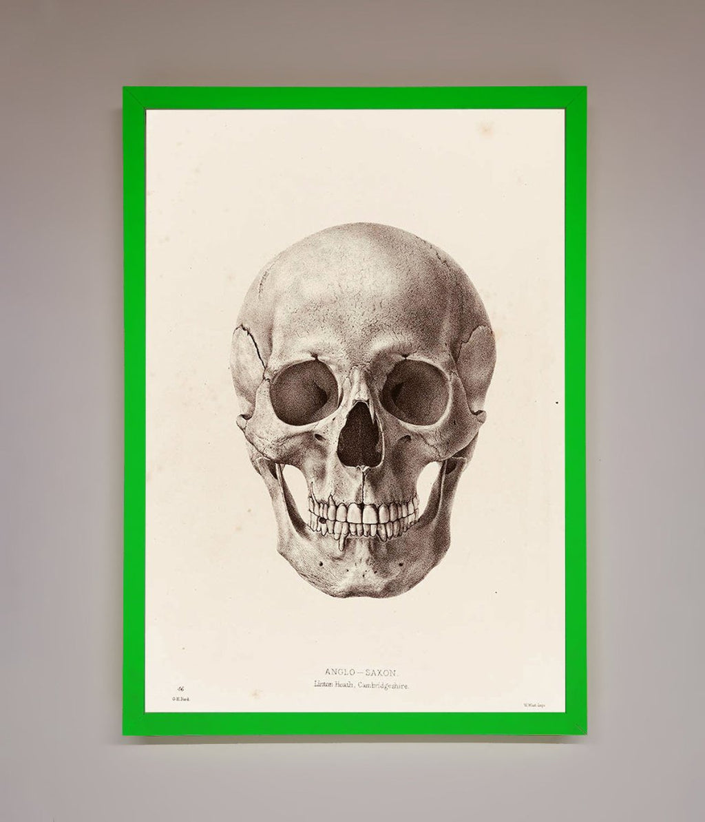 Skull Science Framed Poster