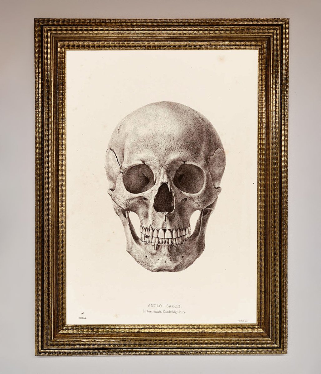 Skull Science Framed Poster