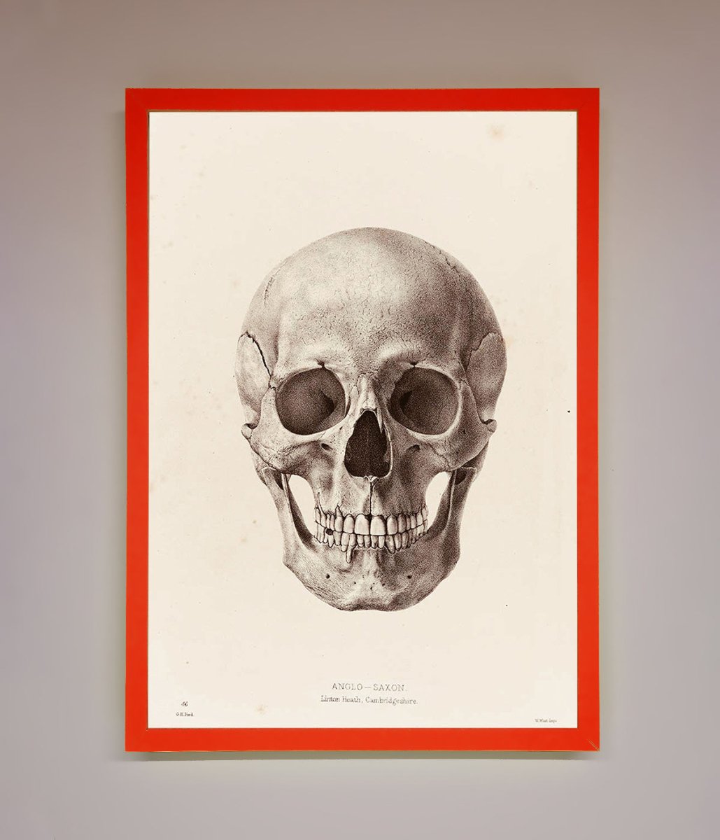 Skull Science Framed Poster