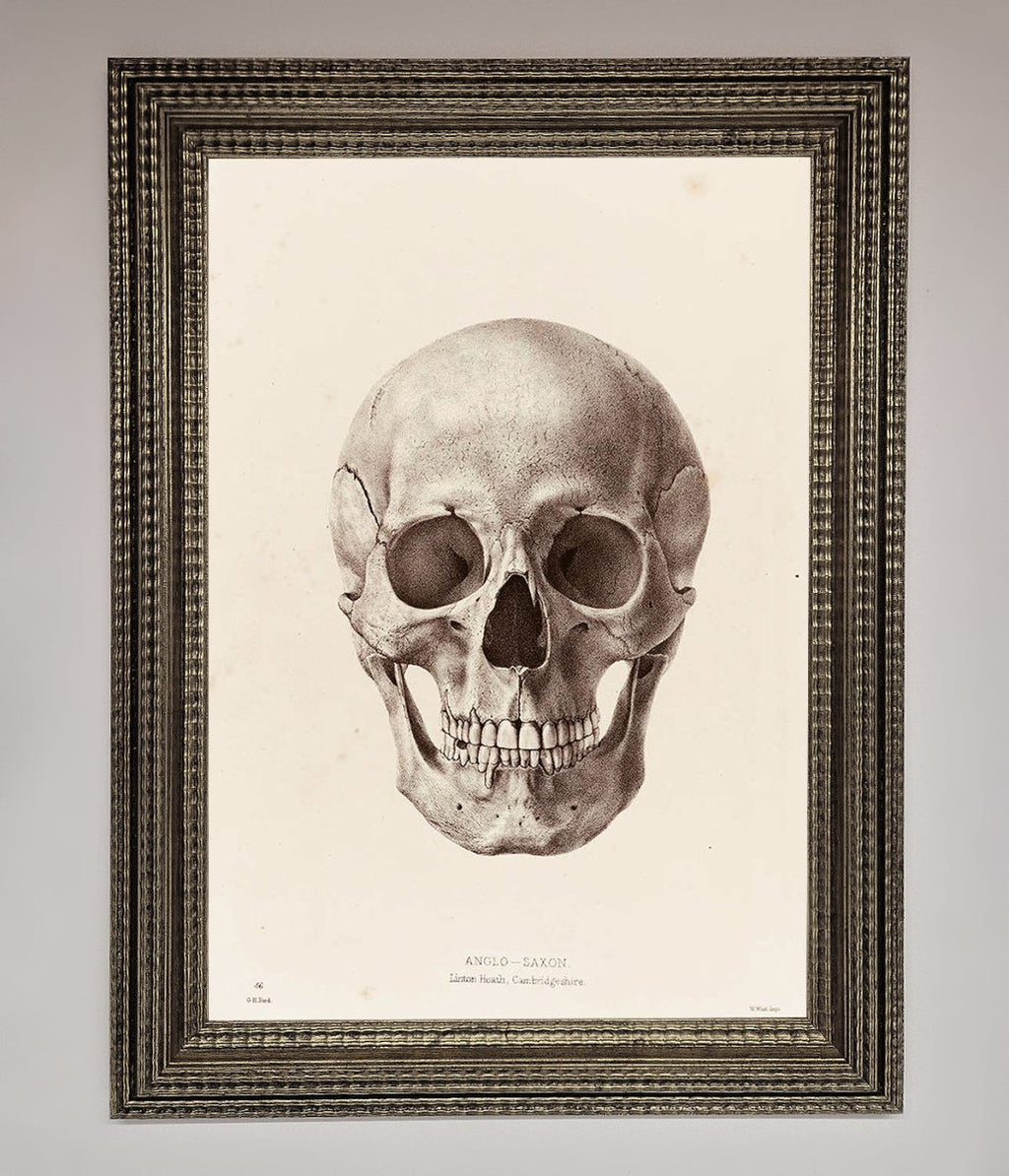 Skull Science Framed Poster