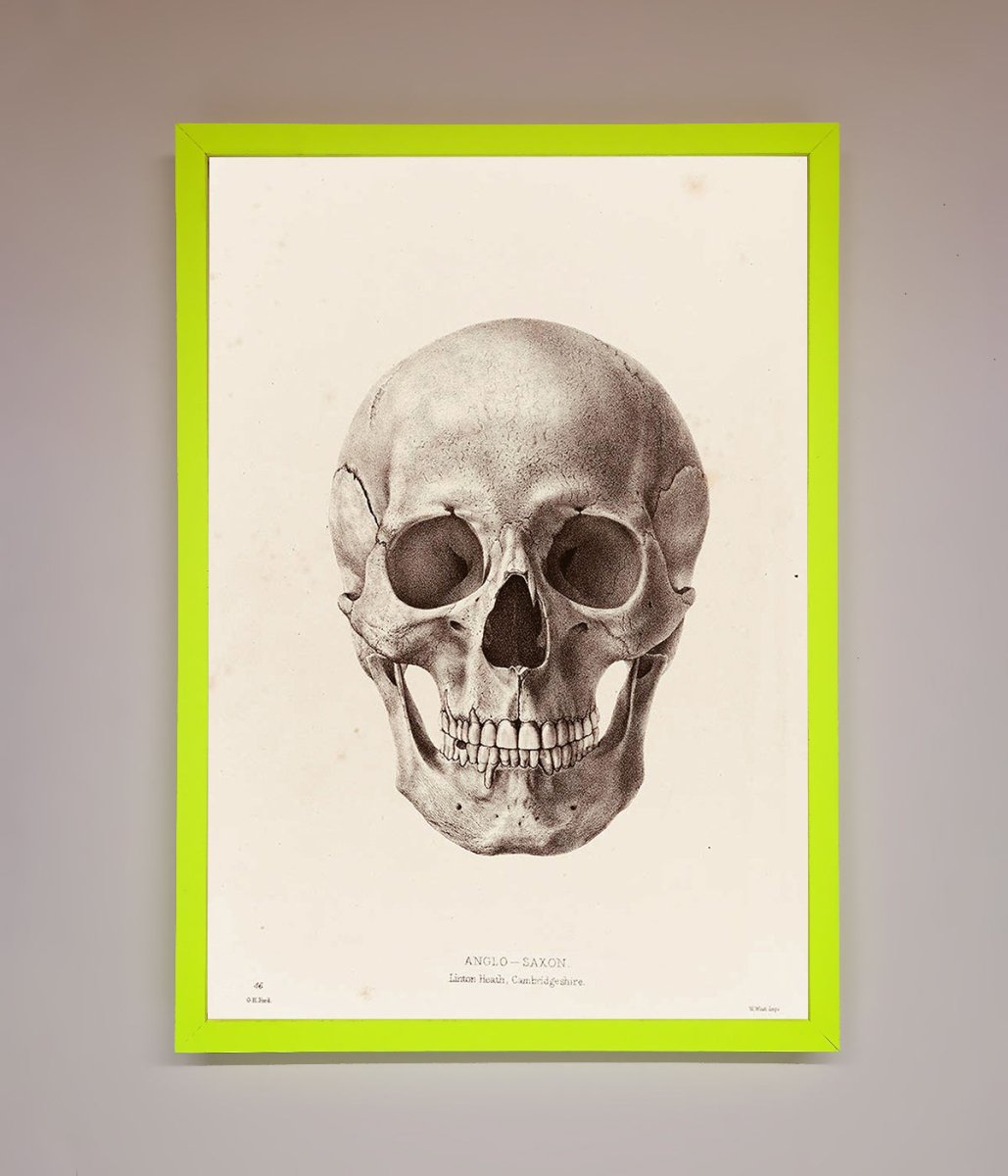 Skull Science Framed Poster