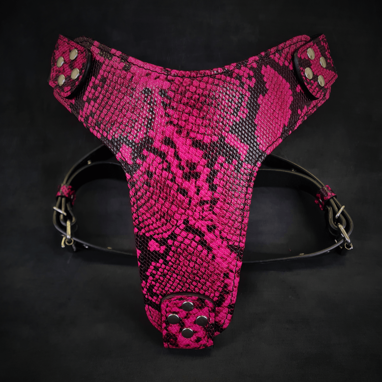 Rock Python Pink Dog Harness
