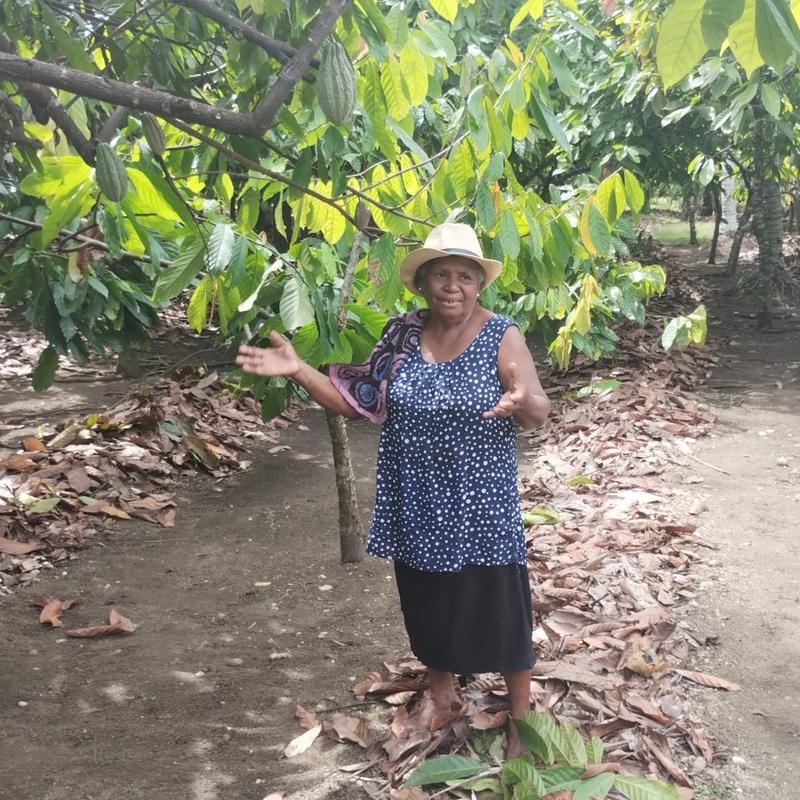 Solomon Islands Ceremonial Cacao