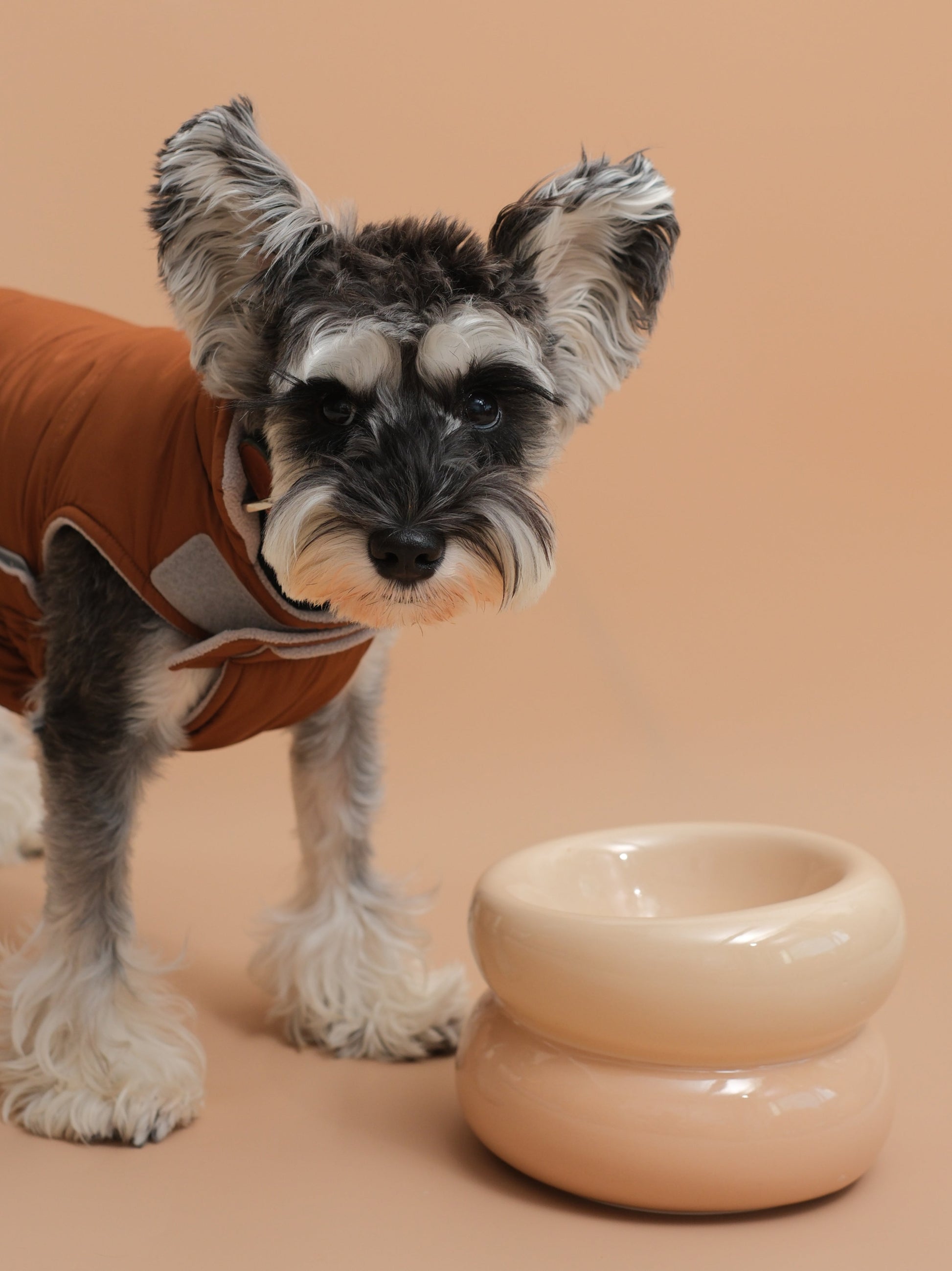 Soufflé Pet Bowl Cream Beige