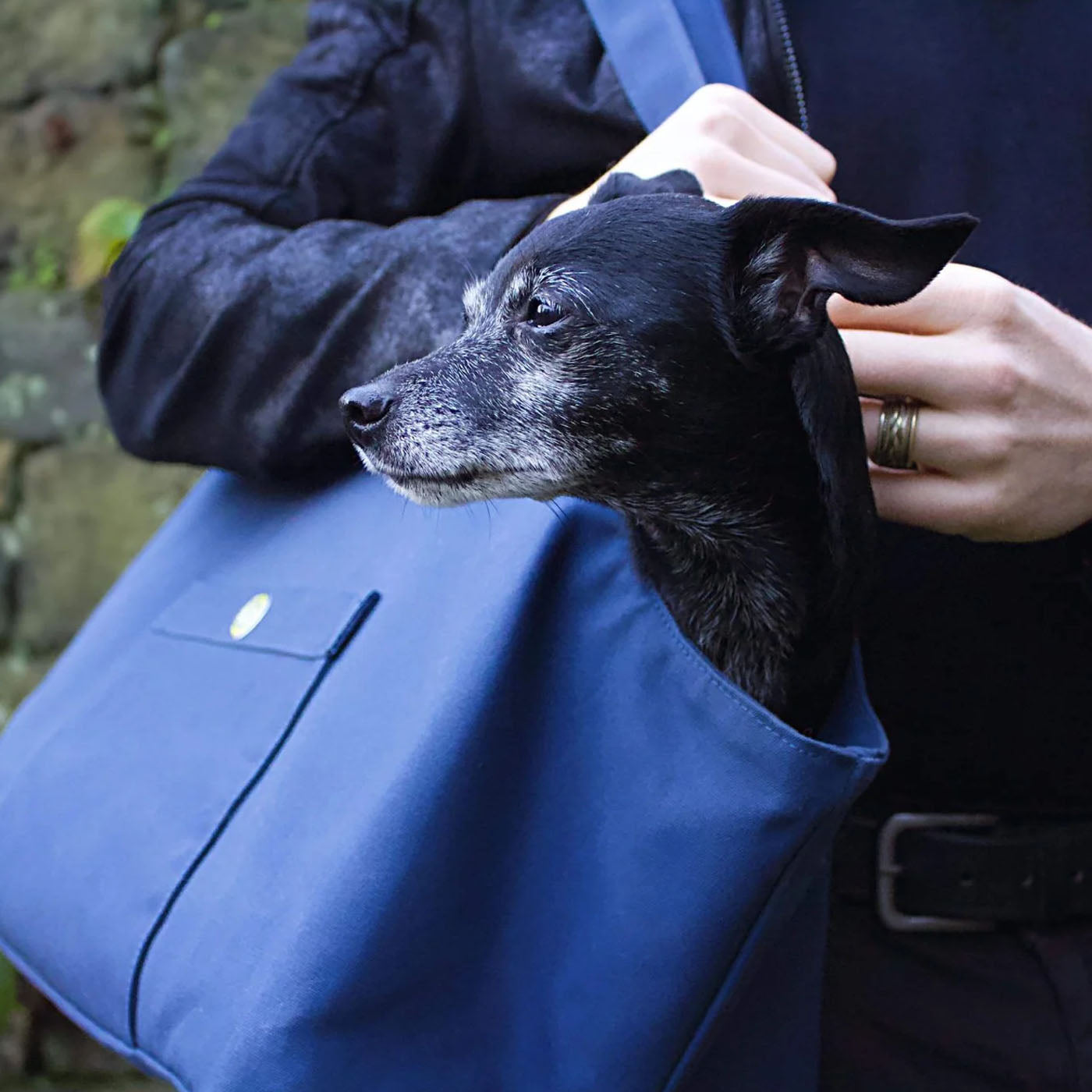 Soho Poms Navy Waxed Cotton Rainy Poms Dog Carrier