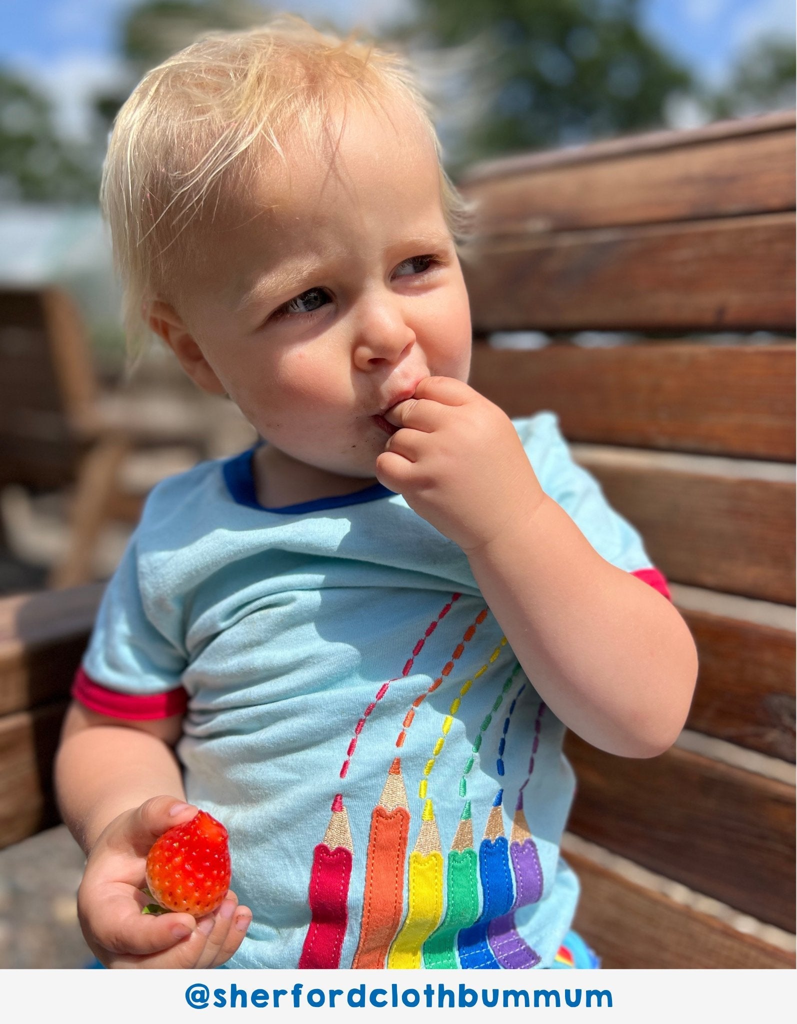 Organic Art Applique Short Sleeved T Shirt for Kids