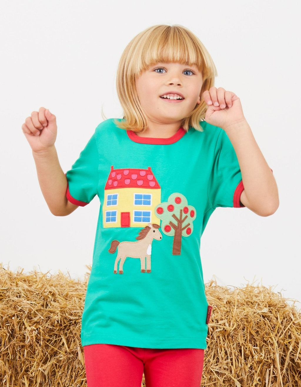 Organic Animal Farm Applique Short Sleeved T Shirt for Kids