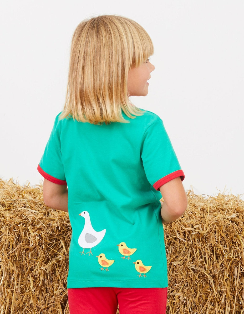 Organic Animal Farm Applique Short Sleeved T Shirt for Kids