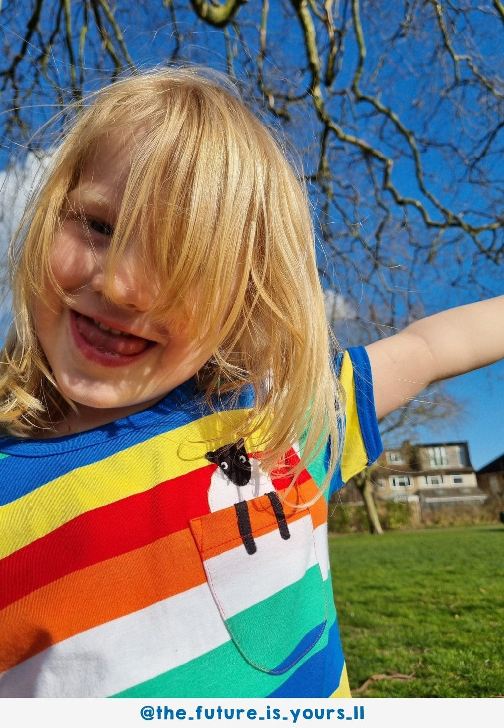 Organic Rainbow Sheep Pocket Applique Short Sleeved T Shirt