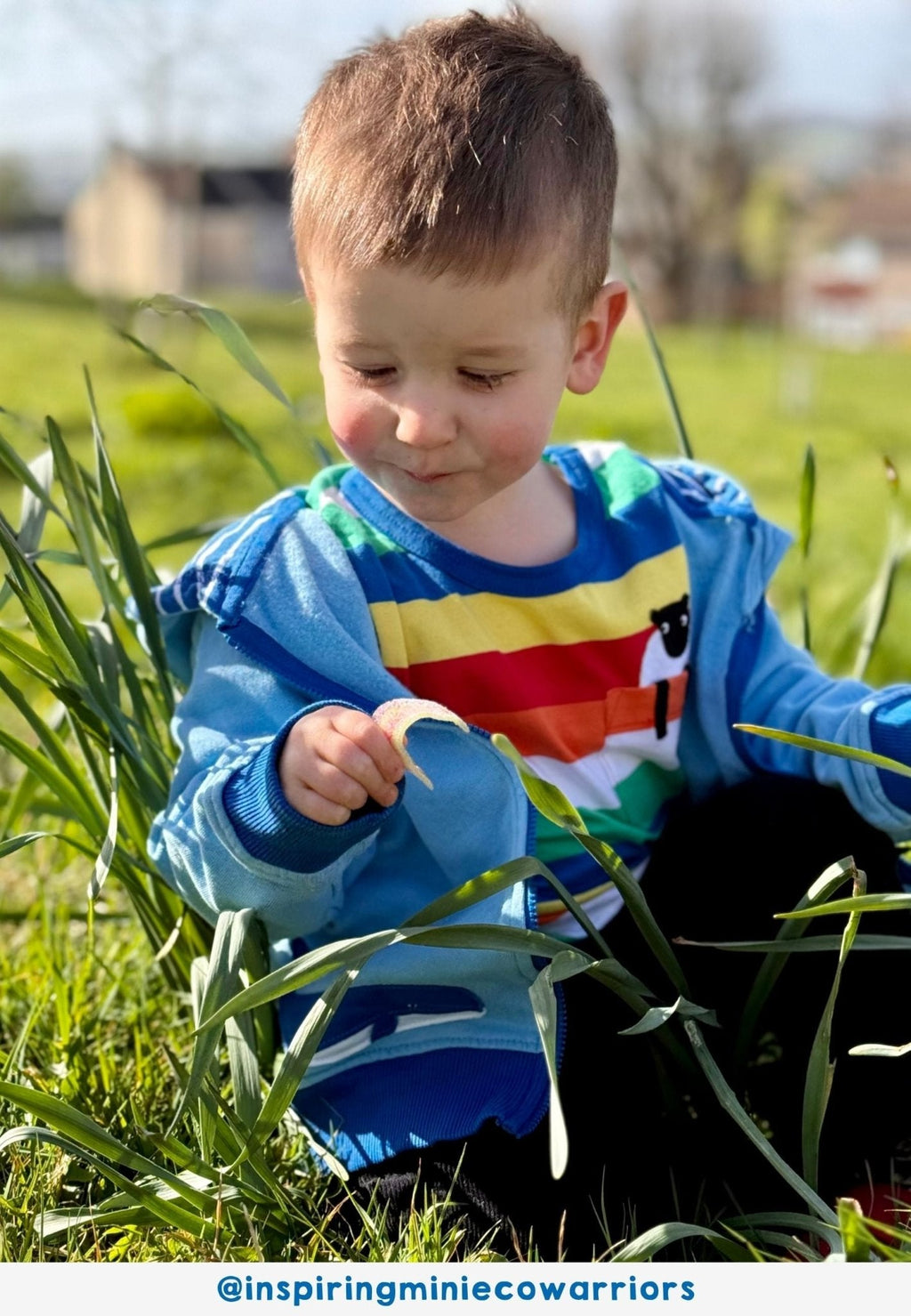 Organic Rainbow Sheep Pocket Applique Short Sleeved T Shirt