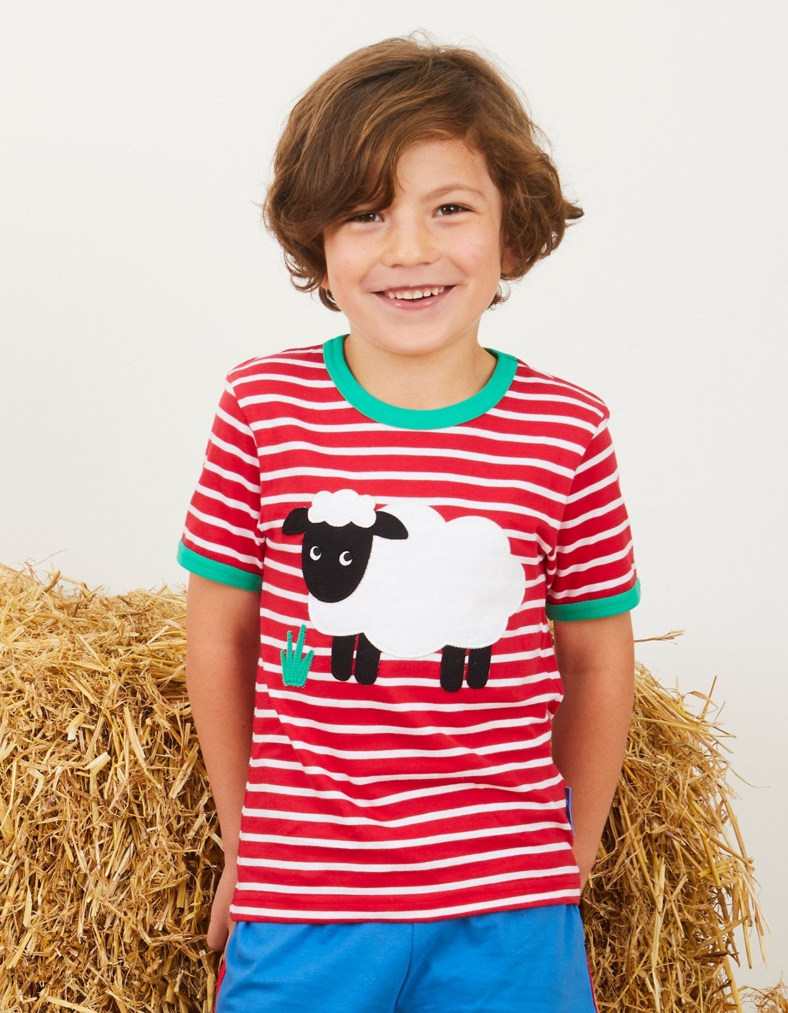 Organic Sheep Applique Short Sleeved T Shirt