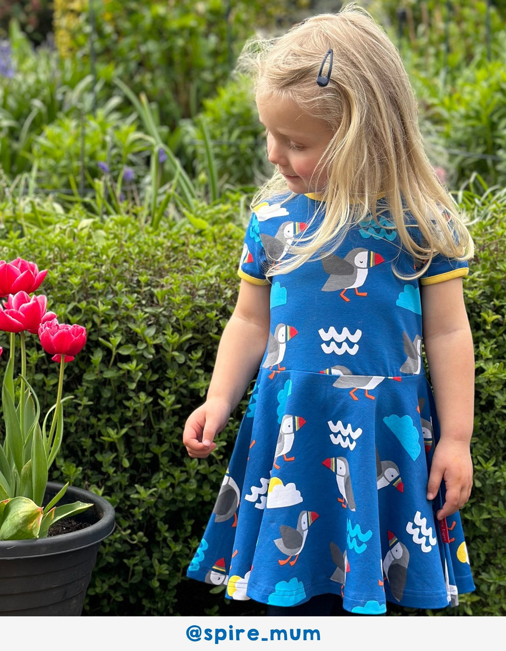 Organic Puffin Print Skater Dress