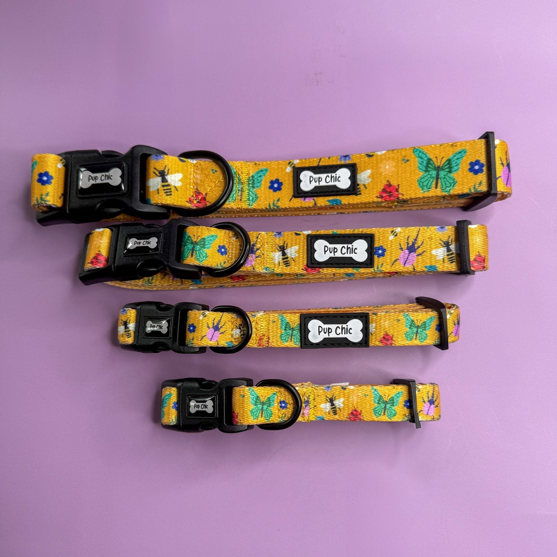 Summer Buzzin Dog Collar