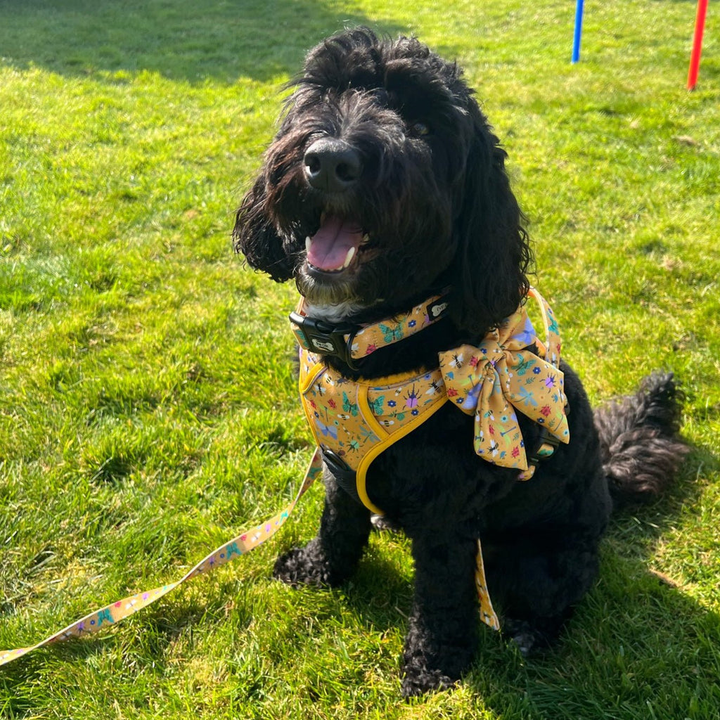 Summer Buzzin Yellow Insect Print No Pull Dog Harness, Adjustable Step In XS to XL