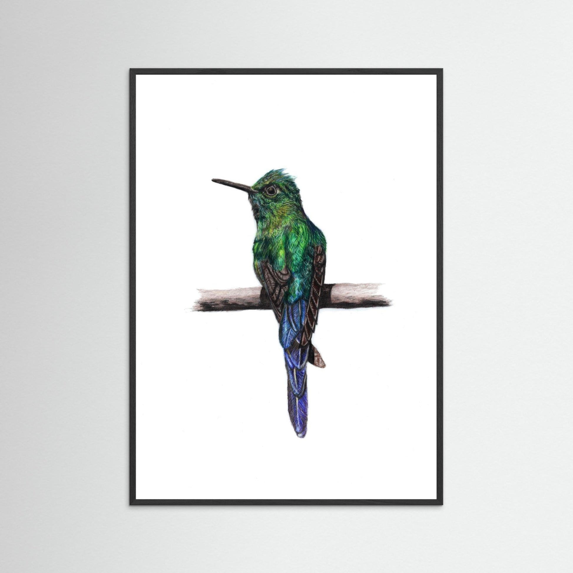 Hummingbird Art Print Wildlife Wall Art for Nature Lovers