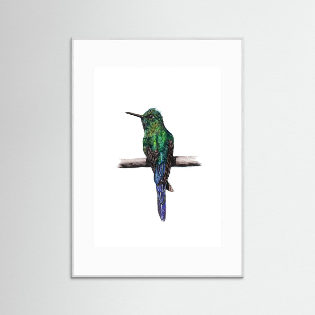 Hummingbird Art Print Wildlife Wall Art for Nature Lovers