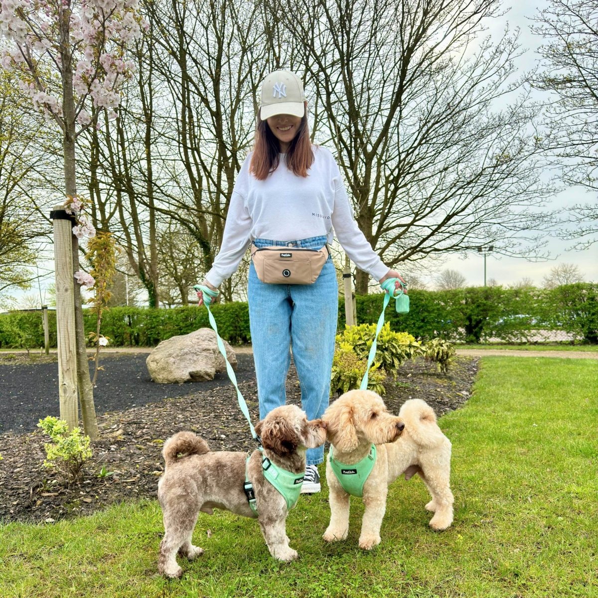 Dog Walking Bum Bag - Tan
