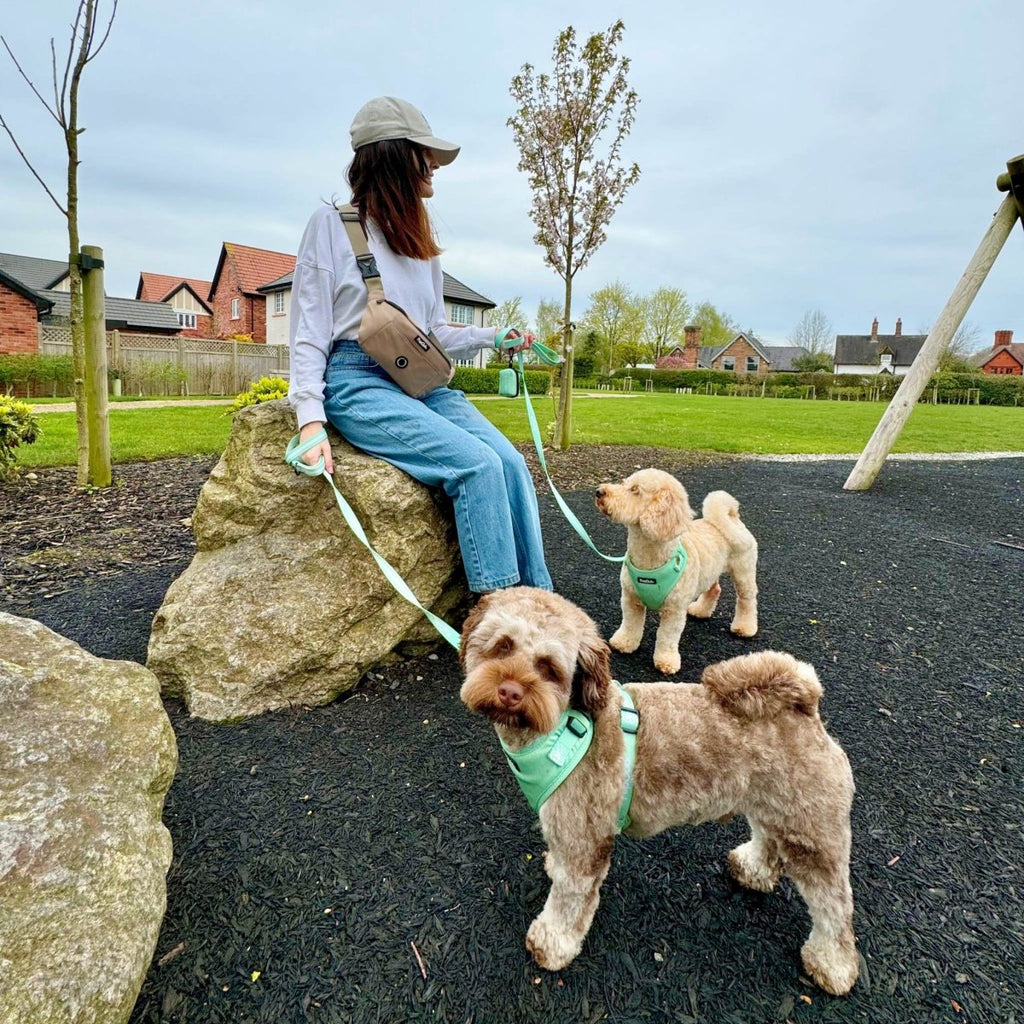 Dog Walking Bum Bag - Tan