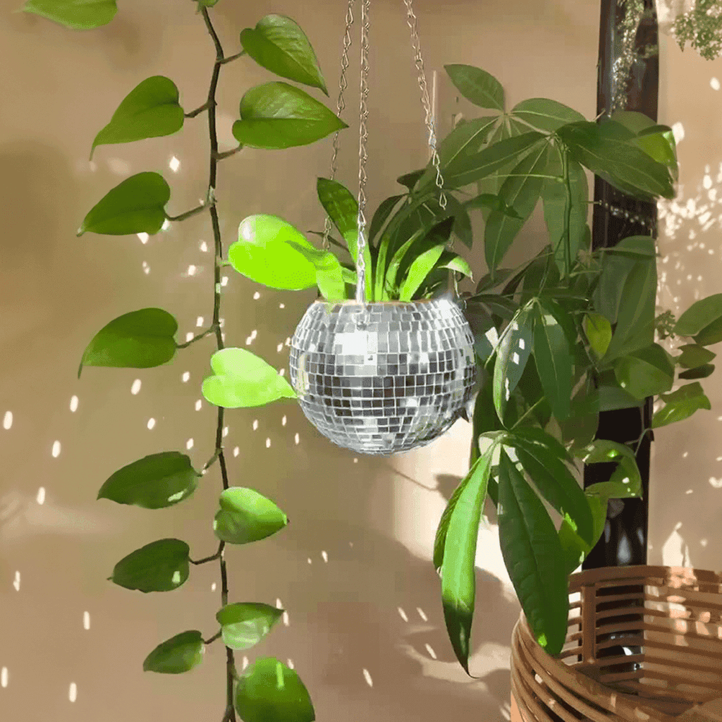 The Disco Planter