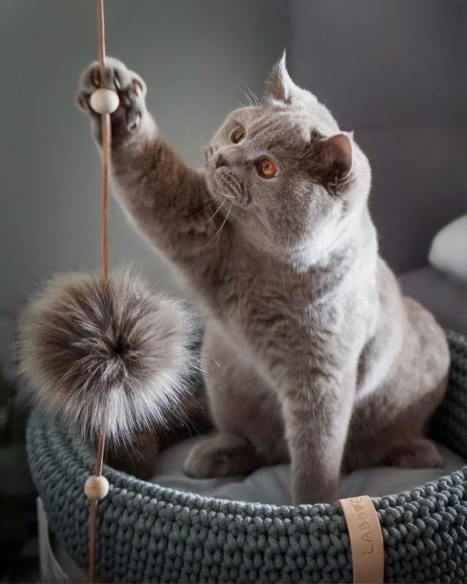 bold anthracite tollo cat toy with leather and two faux fur balls on a dark slate background