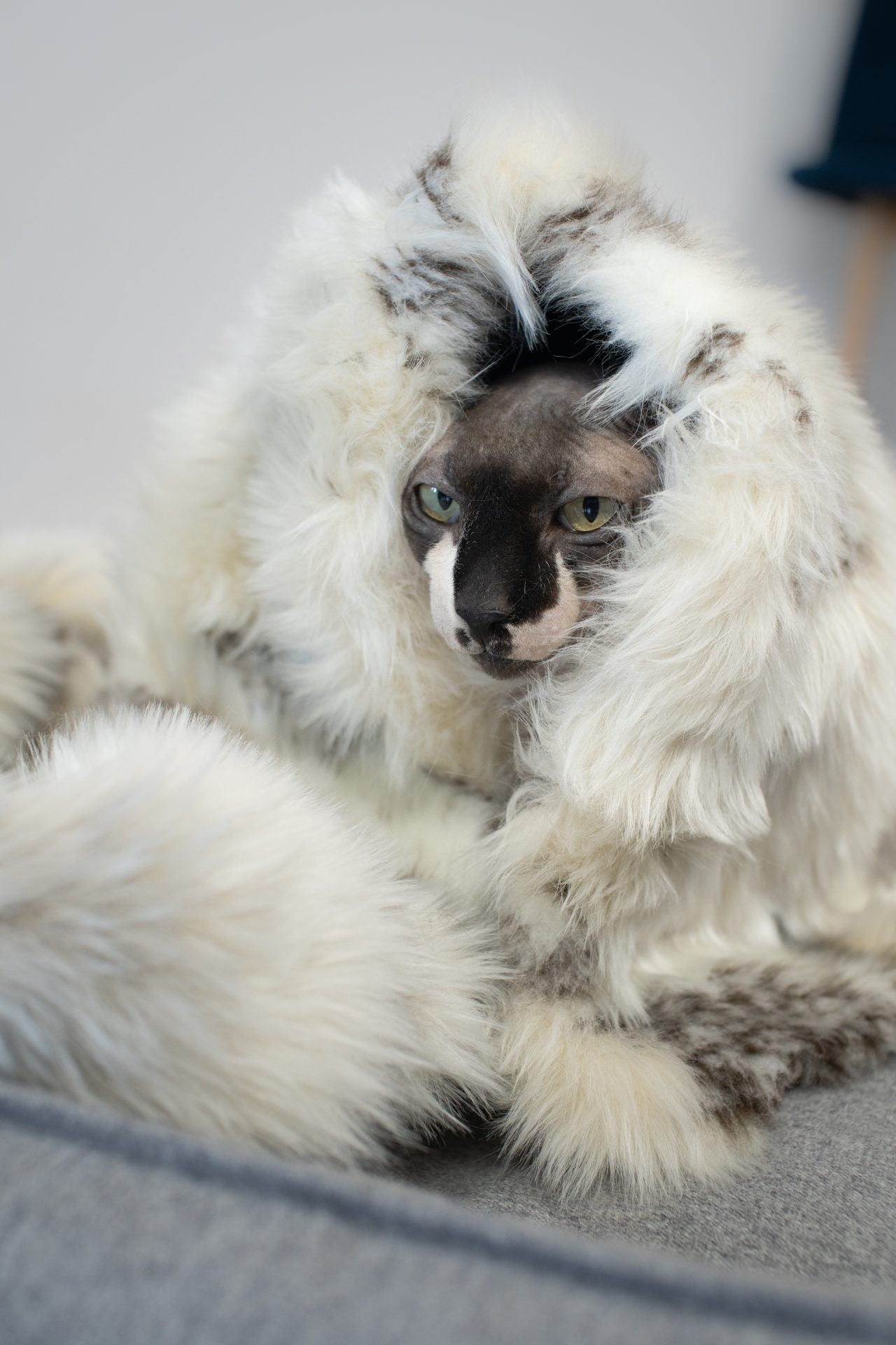 bold close-up of the tosse blanket's rich brown and white fox fur texture